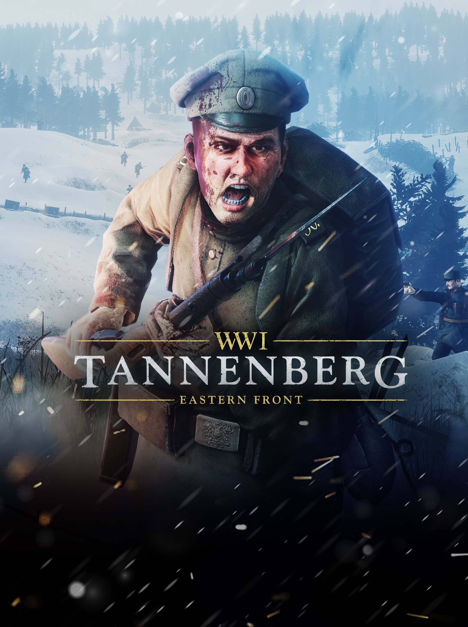 WWI Tannenberg: Eastern Front [PS4, русские субтитры]